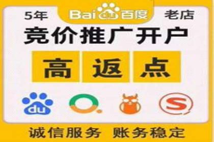 成功运用SEM技术提升网站流量的案例研究